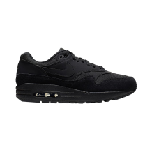 Nike Air Max 1 Wmns (319986-045)