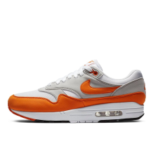 Nike Air Max 1 Anniversary (DC1454-101)