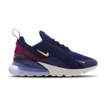 Nike Air Max 270 (AH6789-402)