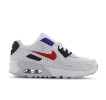 Nike Air Max 90 Euro Tour gs (CZ8650-100)