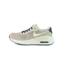 Nike Air Max GS (DQ0284-005)