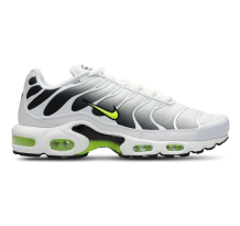 Nike Air Max (DM0032 103)