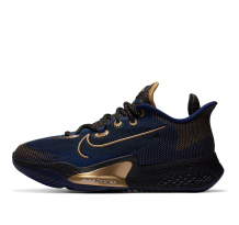 Nike Air Zoom BB NXT EP Blue Void Gold (CK5708-400)