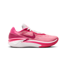 Nike Air Zoom Cut GT Hyper 2 (DJ6013-604)