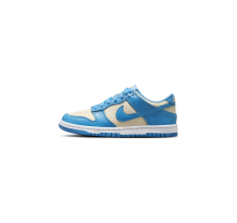 Nike avenue nike dunks grey aqua paint black color (FB9109-400)