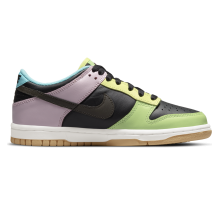 Nike Dunk Low SE 99 Free GS (CZ2496-001)
