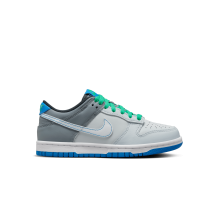 Nike Dunk Low GS (DH9765-004)