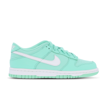 Nike Dunk Low GS Rise Emerald (DH9765-302)
