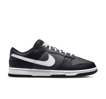 Nike Dunk Low (DJ6188 002)