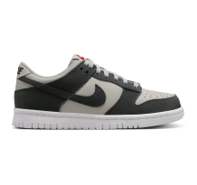 Nike Dunk Low (FZ1000 001)