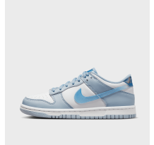 Nike Dunk Low Next Nature GS (FJ4668-400)