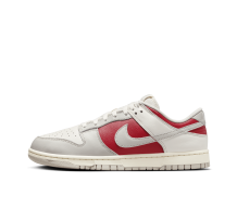 Nike Dunk Low Retro (HJ9093-030)