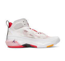 Jordan 37 PF Hare (DD6959 160)