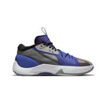 jordan Orewood Zoom Separate PF Ultramarine (DH0248-002)