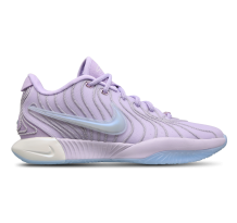 Nike LeBron (HF5353 500) in lila