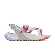 Nike Oneonata Gray (DJ6601-003)