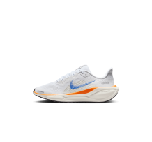 Nike Pegasus 41 (HM4820-100)