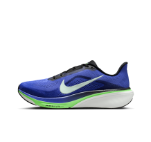 Nike Pegasus 42 (IB1873-500)