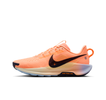Nike Pegasus Trail 5 (DV3864-800)