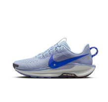 Nike Pegasus Trail 5 (DV3865-403)