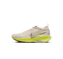 Nike Pegasus Trail 5 GORE TEX (FQ0912-101) in braun