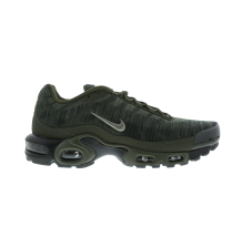Nike Air Max Plus (845006-300)