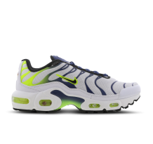 Nike Air Max Plus Forest Green GS (CD0609-101)