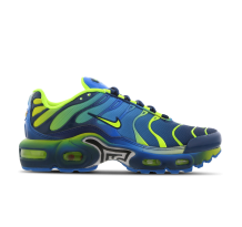 Nike Air Max Plus GS (CT0962-401)