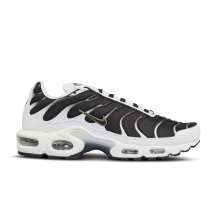 Nike Air Max Plus (CT1094-102)
