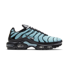 Nike Air Max Plus Aqua Blue (CV8838-400)