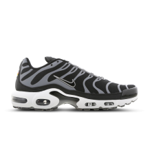 Nike Air Max Plus (DM2466-001)