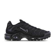 Nike Air Max Plus Blue (DZ4509-001)