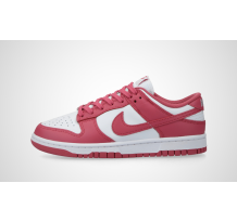 Nike Dunk Low Archeo (DD1503-111)