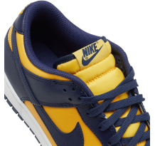 Nike Dunk Low Michigan (DD1391-700)