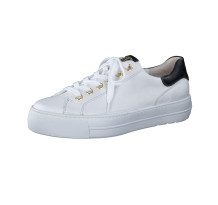 Paul Green 0079 5320 080 (5320-080)