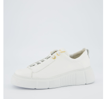 Paul Green 0079 5418 030 (5418-030)