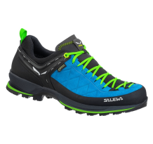 Salewa Trainer MTN GTX 2 (61356-8375) in blau