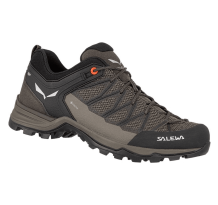 Salewa Mountain Trainer Lite GORE TEX (61361-7512) in braun