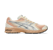 Asics GEL DS Trainer 14 (1203A607-107)