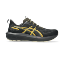 Asics GT 1000 14 GTX (1012B857.001)