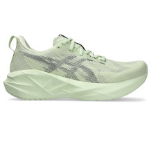 Asics Novablast 5 (1012B765-301)
