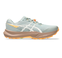 Asics Fuji Lite 6 (1012B865-300)