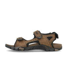 Meindl Capri (3169-46)