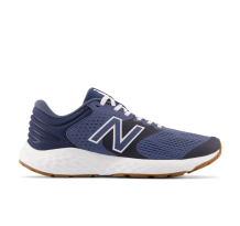 New Balance 520v7 (M520RN7)