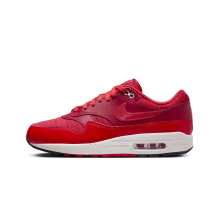 Nike Air Max 1 (HQ3607 687)