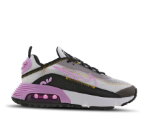 Nike Air Max 2090 Light Arctic GS (CJ4066-104)