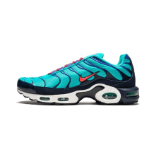 Nike Air Max Plus Discover Your (AV7940 300)