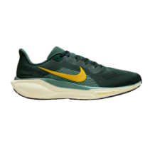 Nike Pegasus 41 (FD2722-301)