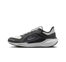 Nike Pegasus 41 GORE TEX GTX Air Zoom (FQ1356-002)
