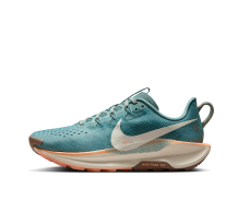 Nike Pegasus Trail 5 (DV3865-010)